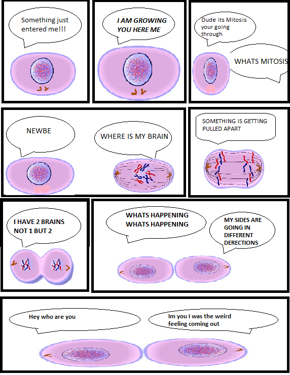 mitosis comic strip Video nude fantasy